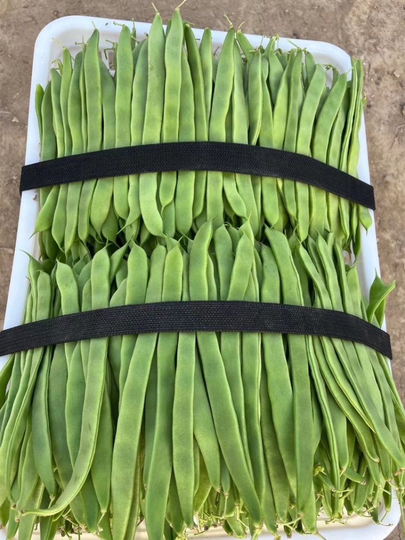 品种齐全：质量标准，价格合理，量大从优，欢迎下单