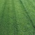 庭院绿化草皮带土园林绿化真草坪护坡绿化专用草草坪种植