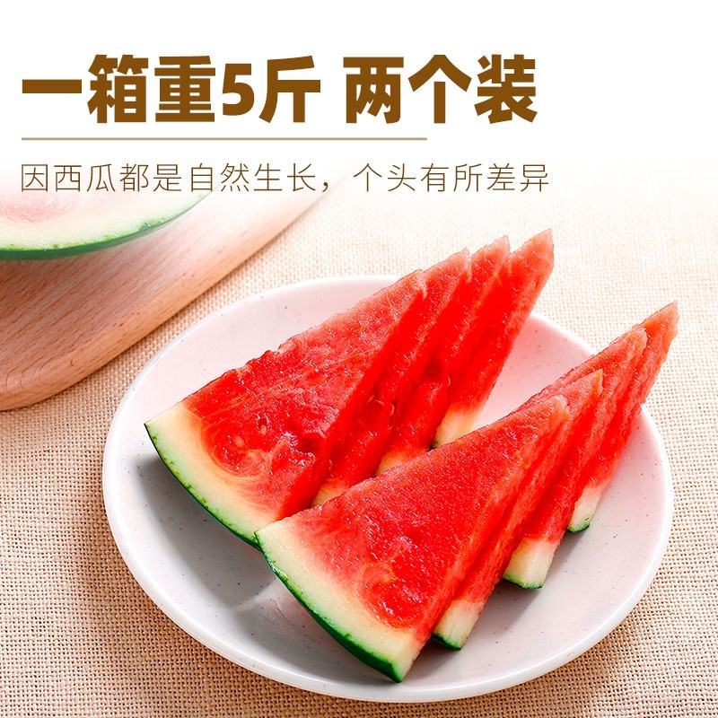 正宗山东2K麒麟手掰小西瓜