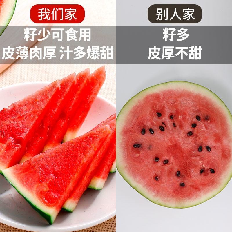 正宗山东2K麒麟手掰小西瓜