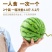正宗山东2K麒麟手掰小西瓜