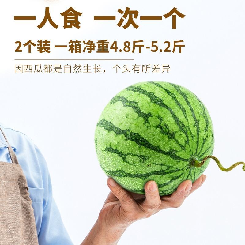 正宗山东2K麒麟手掰小西瓜