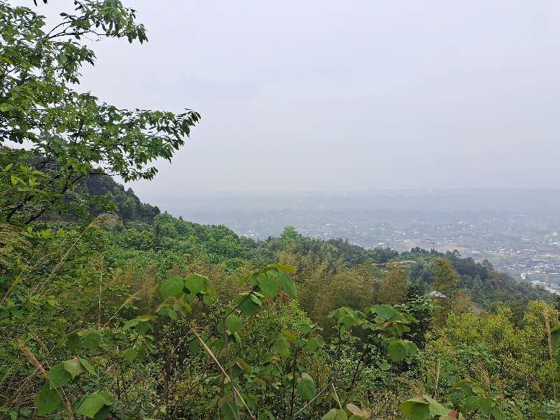 130亩果园出租或合作