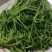 豌豆苗零添加活体芽苗菜豌豆芽苗菜