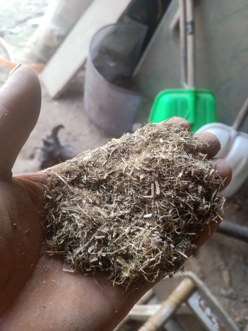 2022年新鲜花出秧草粉细粉