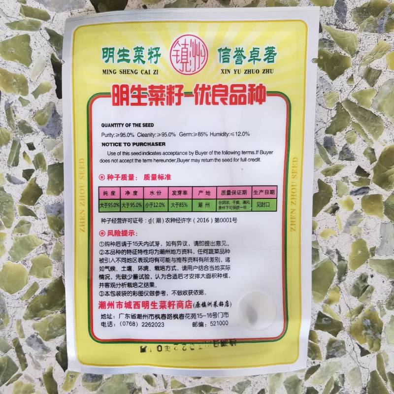 明生种业白骨黄心芹菜种子高产量抗病强