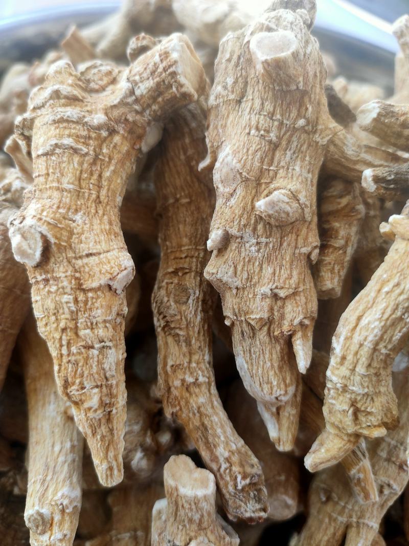 花旗参特大支年限足参味浓