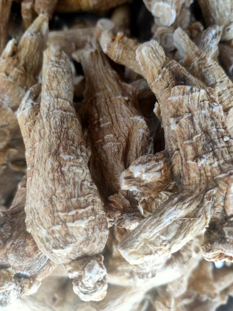 花旗参特大支年限足参味浓
