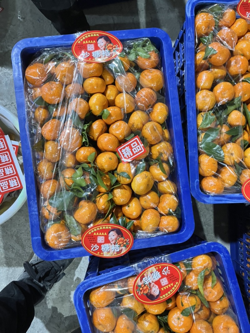 现在砂糖柑0.6可以过机