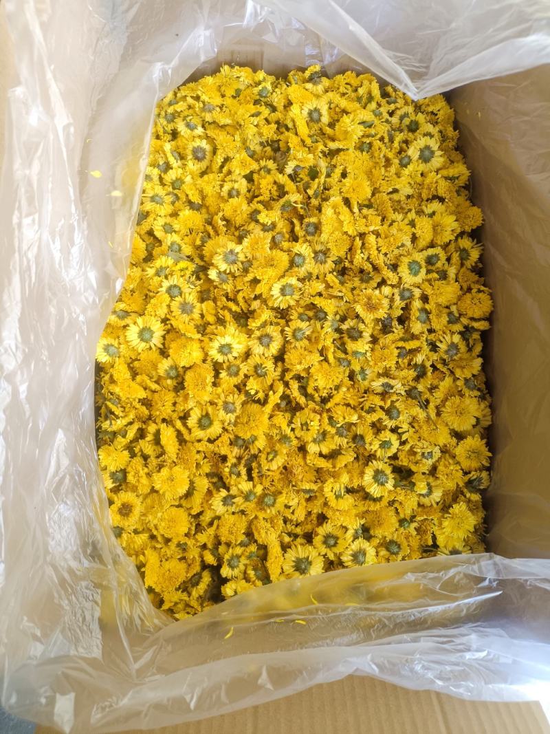 安徽婺源皇菊，一手货源规格齐全对接各大电商商超