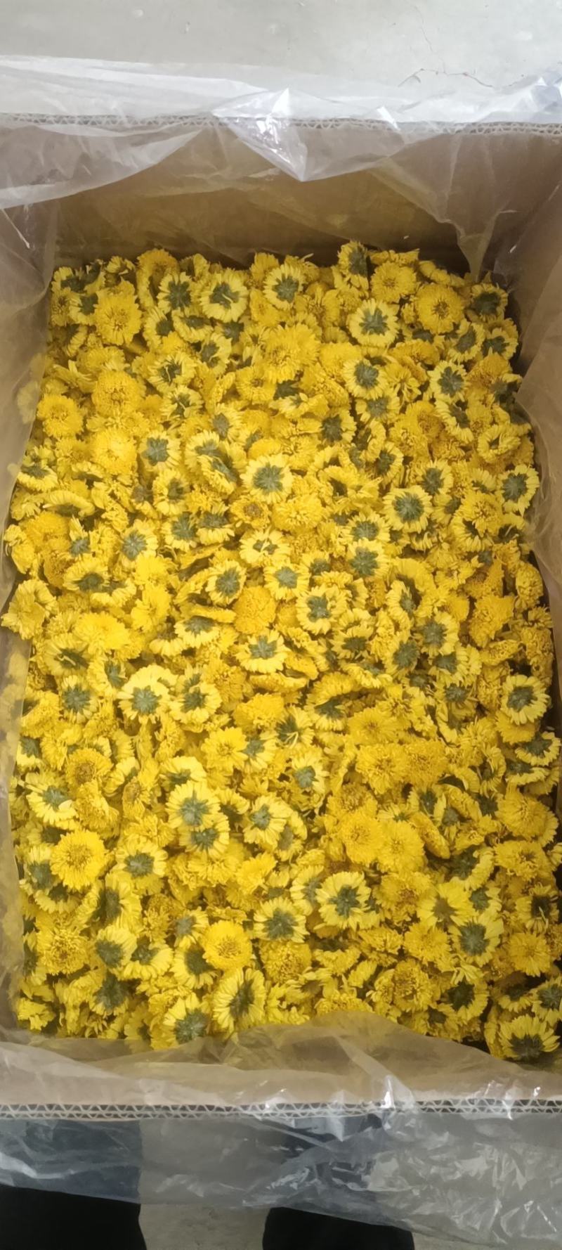 安徽婺源皇菊，一手货源规格齐全对接各大电商商超