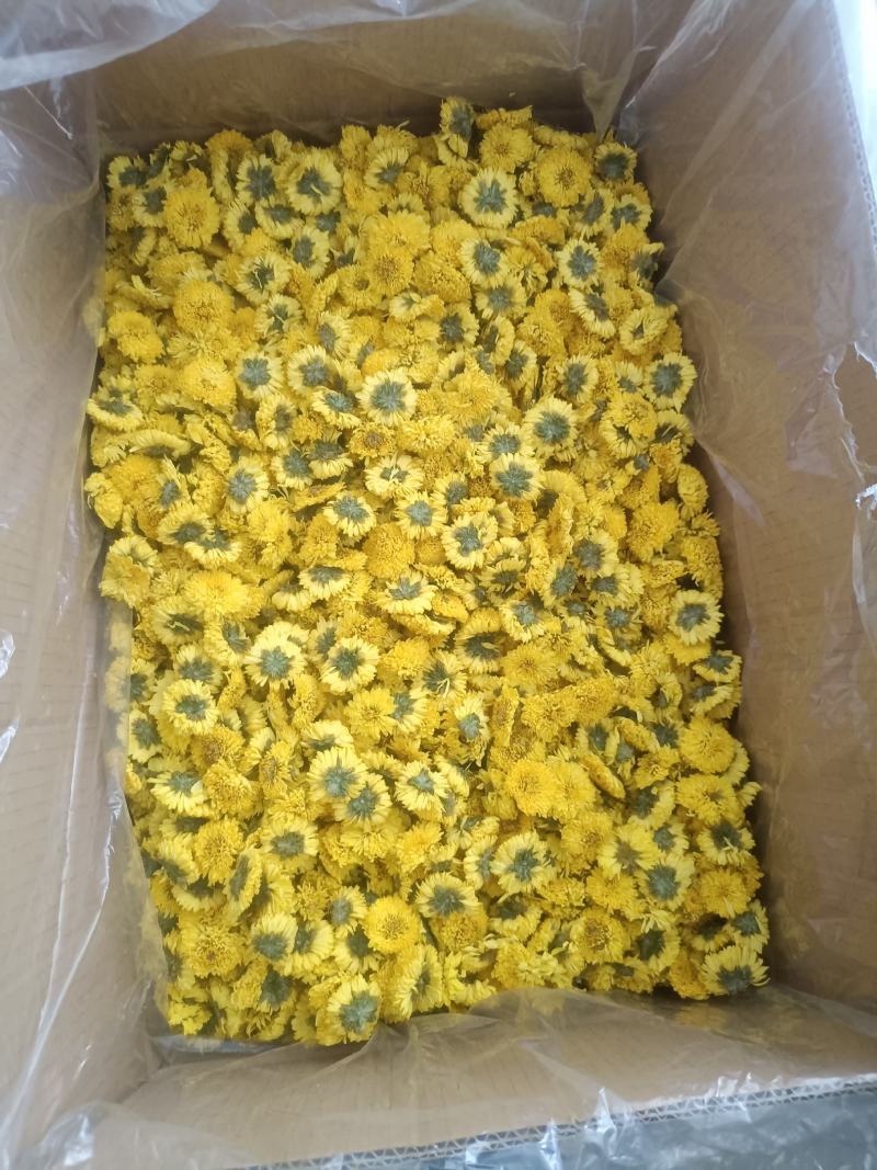 安徽婺源皇菊，一手货源规格齐全对接各大电商商超