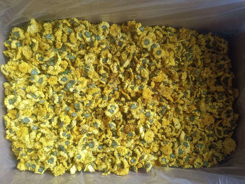 安徽婺源皇菊，一手货源规格齐全对接各大电商商超