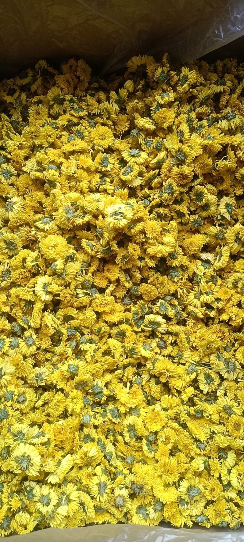 安徽婺源皇菊，一手货源规格齐全对接各大电商商超