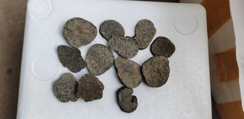 【黑松露】冰冻黑松露，云南产地直发，支持顺丰包邮高品质