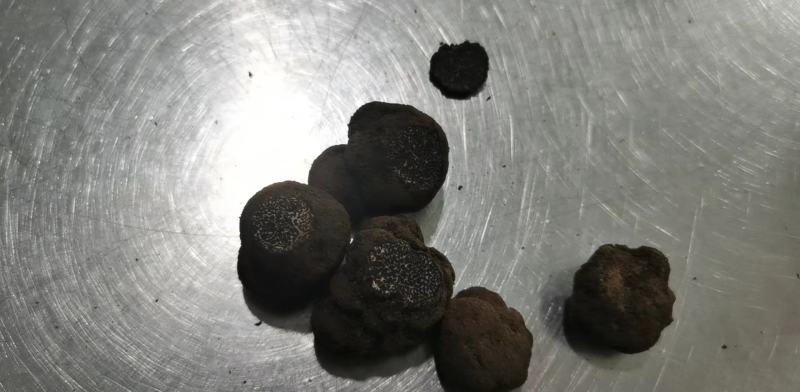 【黑松露】冰冻黑松露，云南产地直发，支持顺丰包邮高品质
