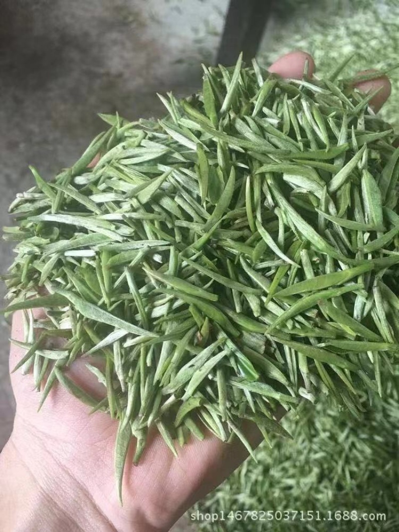 红茶净重包邮春茶散装凝香思浓蜜质量保证
