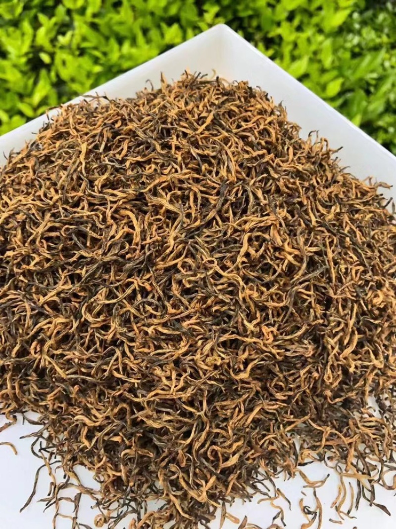 红茶净重包邮春茶散装凝香思浓蜜质量保证