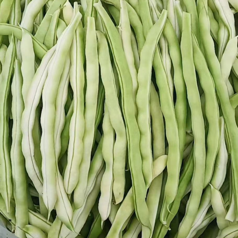 芸豆
