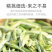 春茶头采2022年大白毫银针汤黄清澈回甘清甜