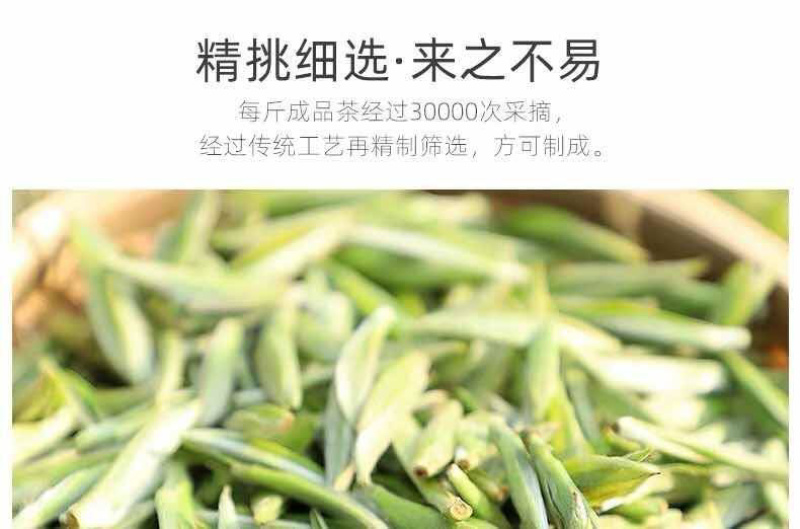 春茶头采2022年大白毫银针汤黄清澈回甘清甜
