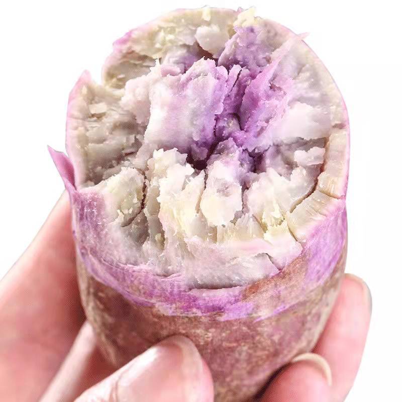 正宗农家冰淇淋蕃薯