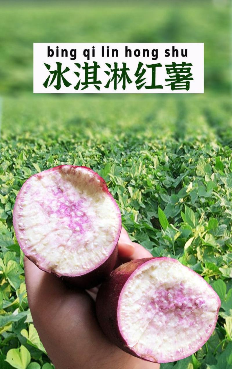 正宗农家冰淇淋蕃薯