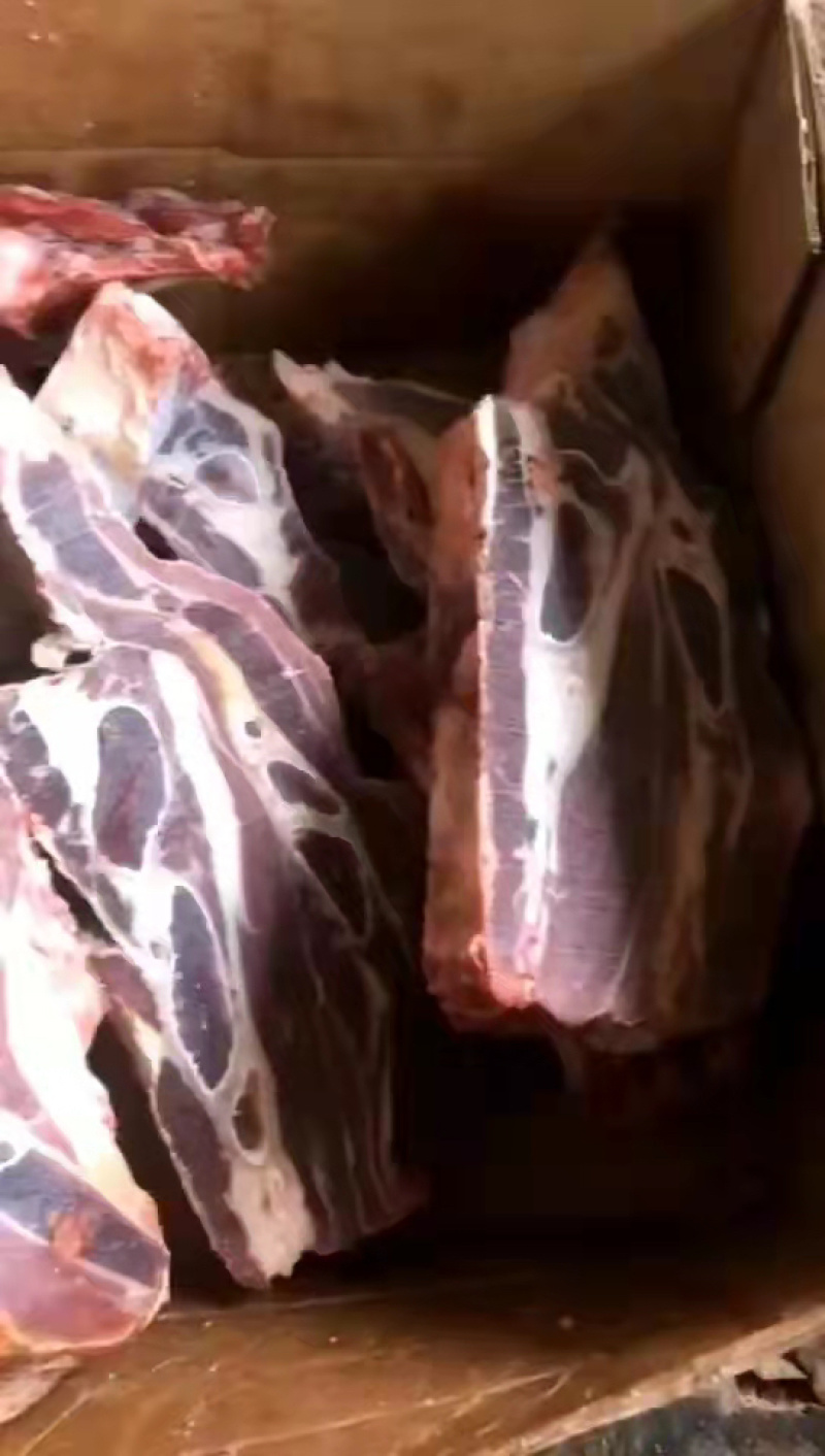 牛腩排牛腩肉大量上市价格美丽，品质保证，一手货源