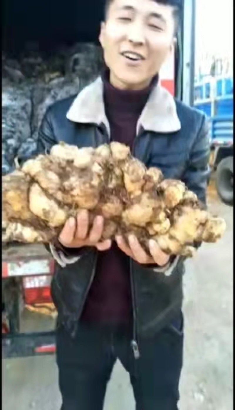 山东，优质大黄姜，产地直销。支持全国发货，3