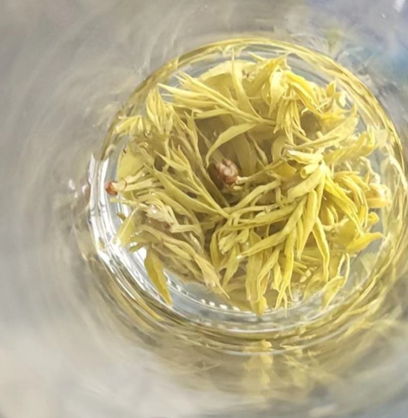 2022春恩施特产野生藤茶来凤藤茶龙须嫩芽调节三高改善睡
