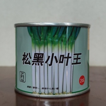 正品进口品种日本钢葱铁杆大葱种子厂家包邮