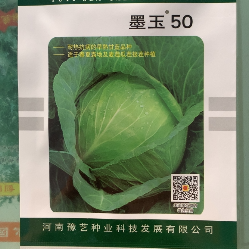 豫艺墨玉50早熟耐热抗病甘蓝，10g/袋