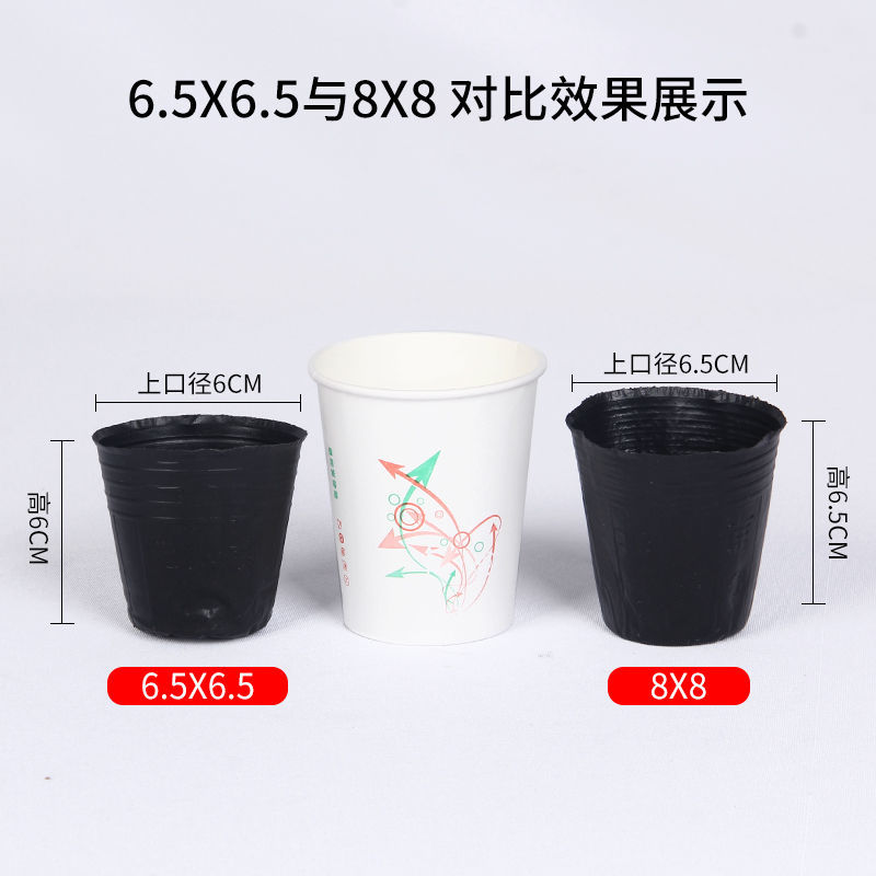 加厚营养杯育苗杯大号一次性花盆黑色种植塑料育苗袋育苗盆营