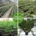 加厚营养杯育苗杯大号一次性花盆黑色种植塑料育苗袋育苗盆营