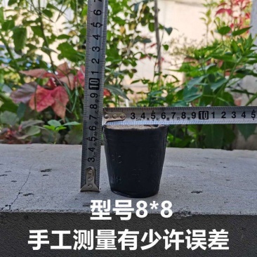 营养袋育苗袋一次性黑碗塑料营养杯育苗杯花卉种子园林种植营