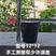 营养袋育苗袋一次性黑碗塑料营养杯育苗杯花卉种子园林种植营