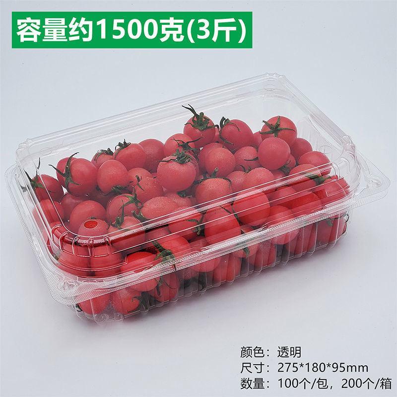 一斤装草莓盒水果包装盒一次性水果盒子带盖透明500克网