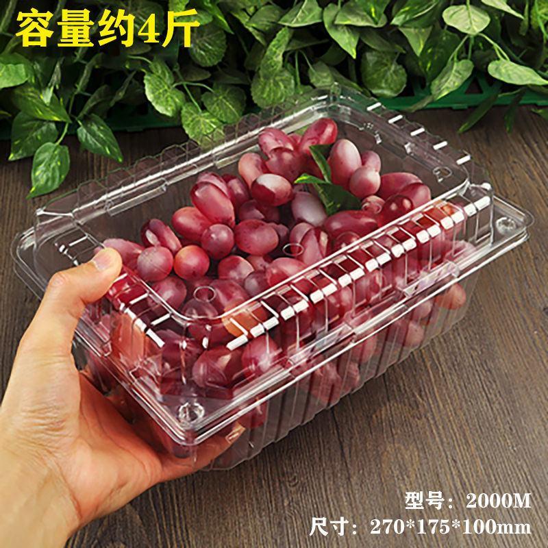 一斤装草莓盒水果包装盒一次性水果盒子带盖透明500克网