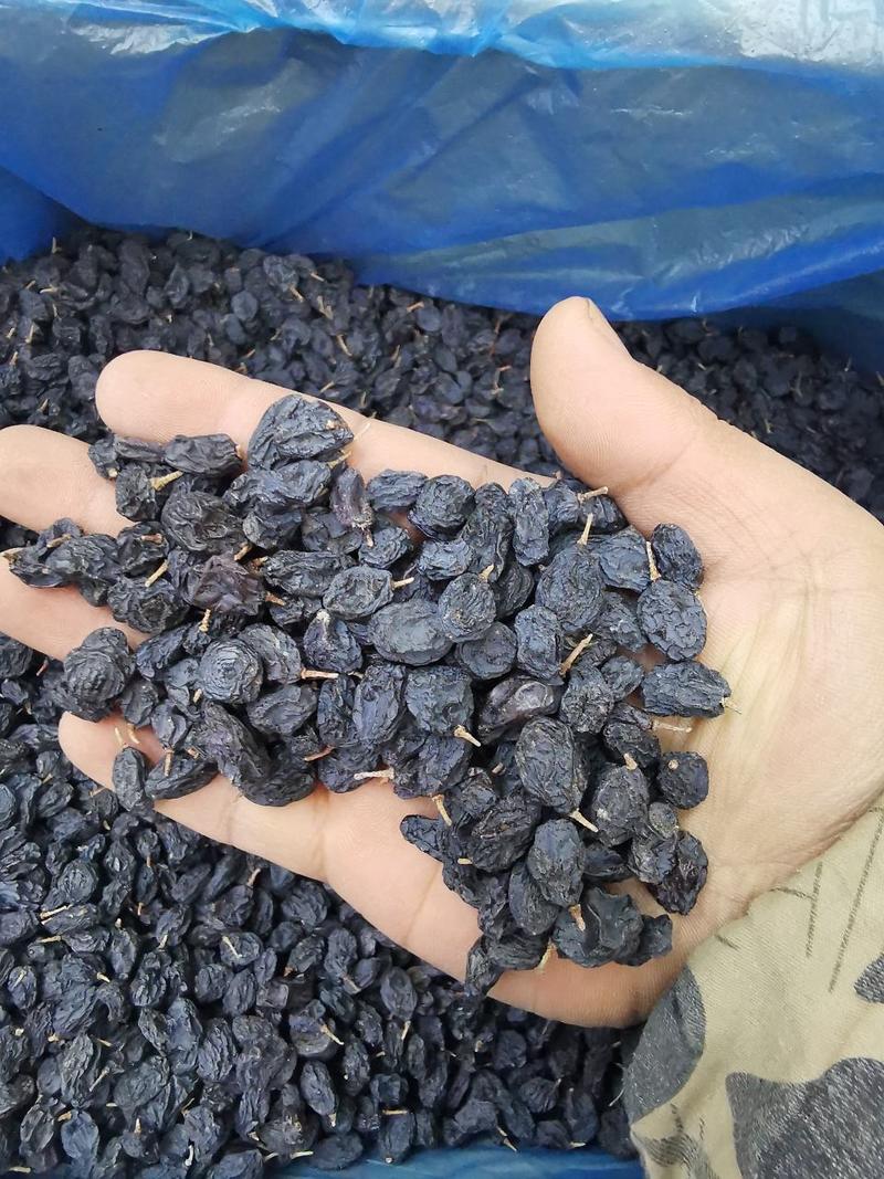 新疆特产新货新疆黑加仑葡萄干20斤起发一件代发批发