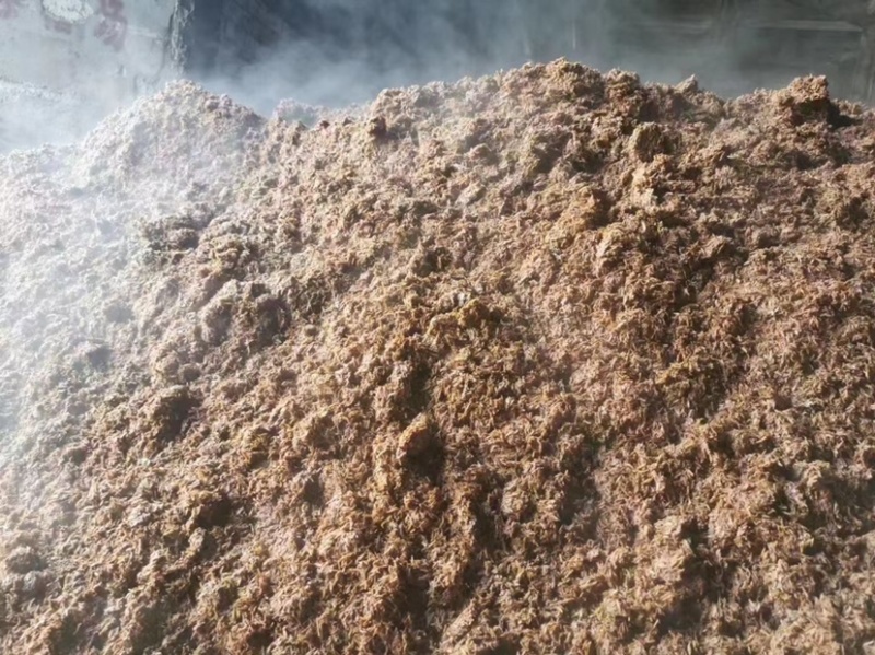 酱香白酒糟-养殖户饲料厂大量现货-欢迎咨询