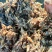 酱香白酒糟-养殖户饲料厂大量现货-欢迎咨询