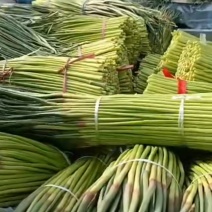 蒜苔，大蒜，代收入库，质量保证，诚信经营。