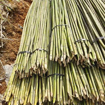 金竹各类菜架竹，全国发货，产地一手货源，诚信经营。量大