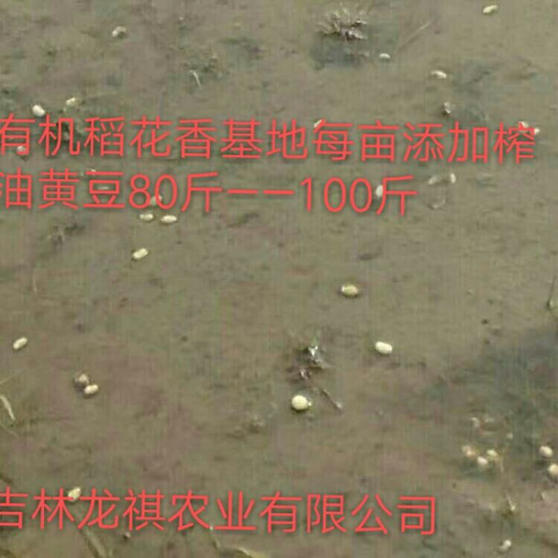 吉林御珏牌稻花香