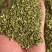 槐米槐花中药材槐米。白槐、槐花米、槐籽