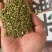 槐米槐花中药材槐米。白槐、槐花米、槐籽
