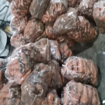 广东泥萝卜，电商货