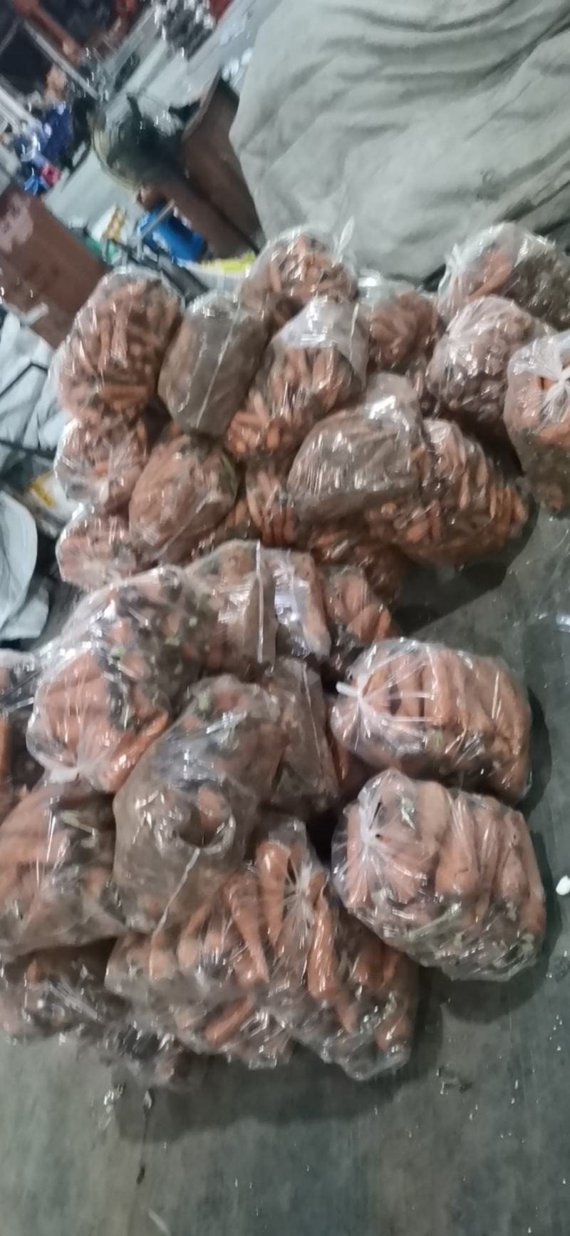 广东泥萝卜，电商货
