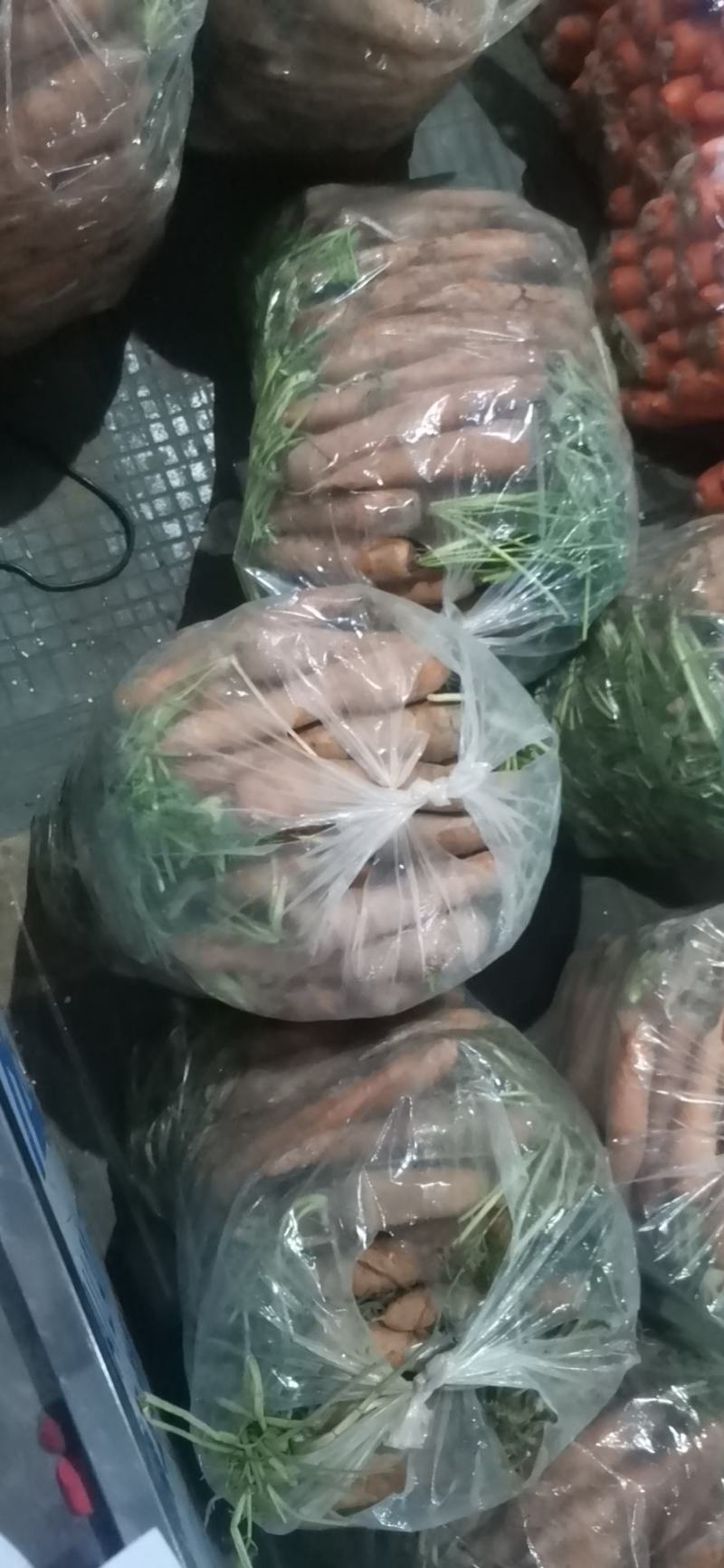 广东泥萝卜，电商货