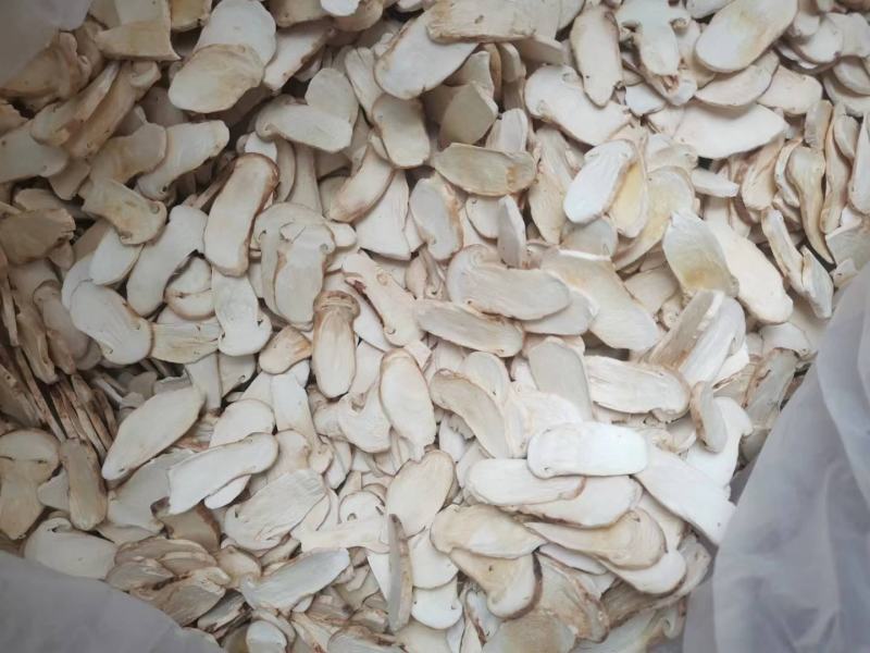 高品质松茸冻干片边带中，量大从优，产地直发